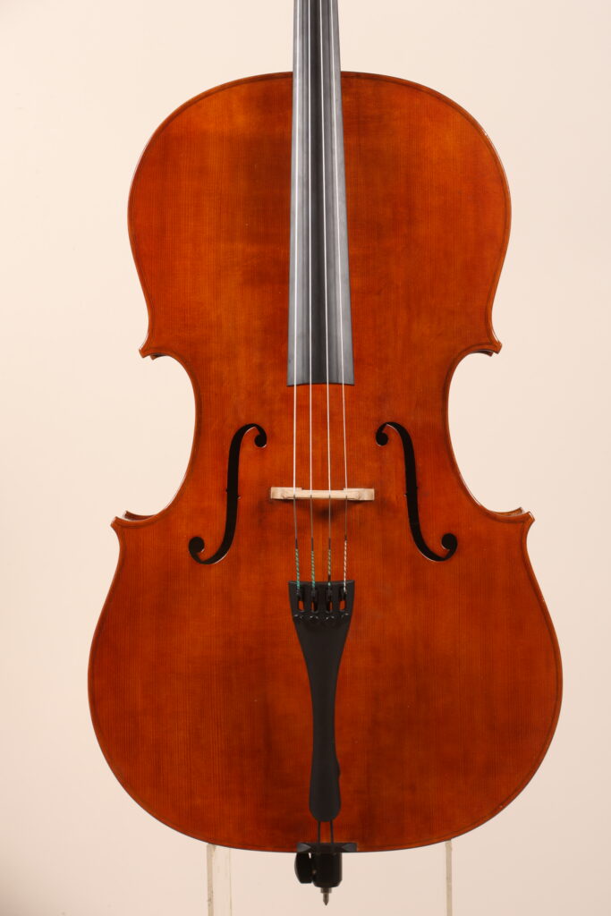 Violoncello 79 2012 modello Rogeri